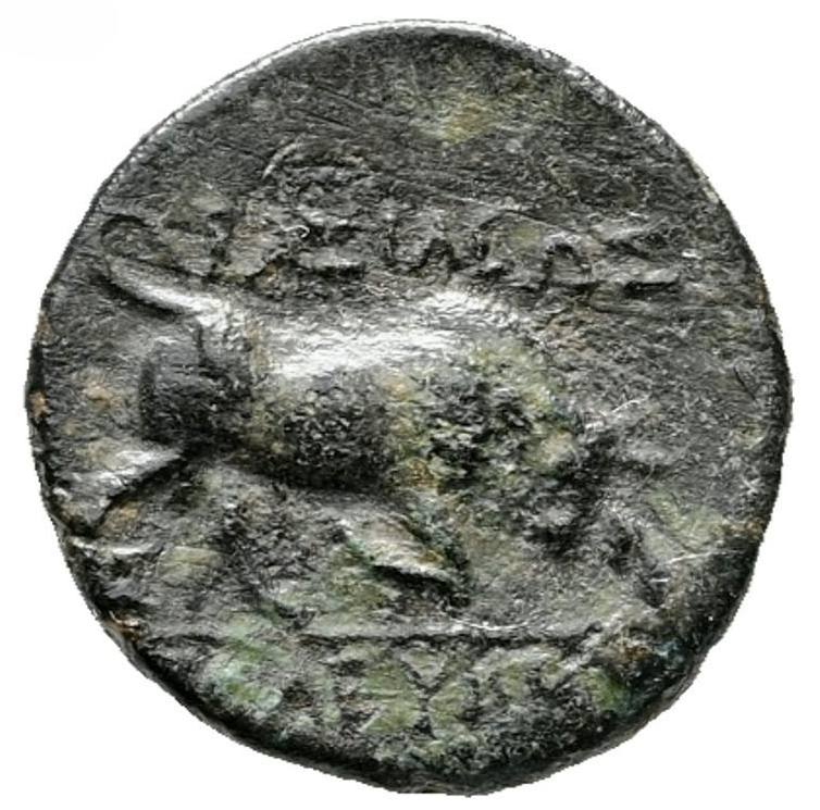 SELEUCO I NIKÁTOR (312-281 a.C.). Cobre de Sardes. REY 1.