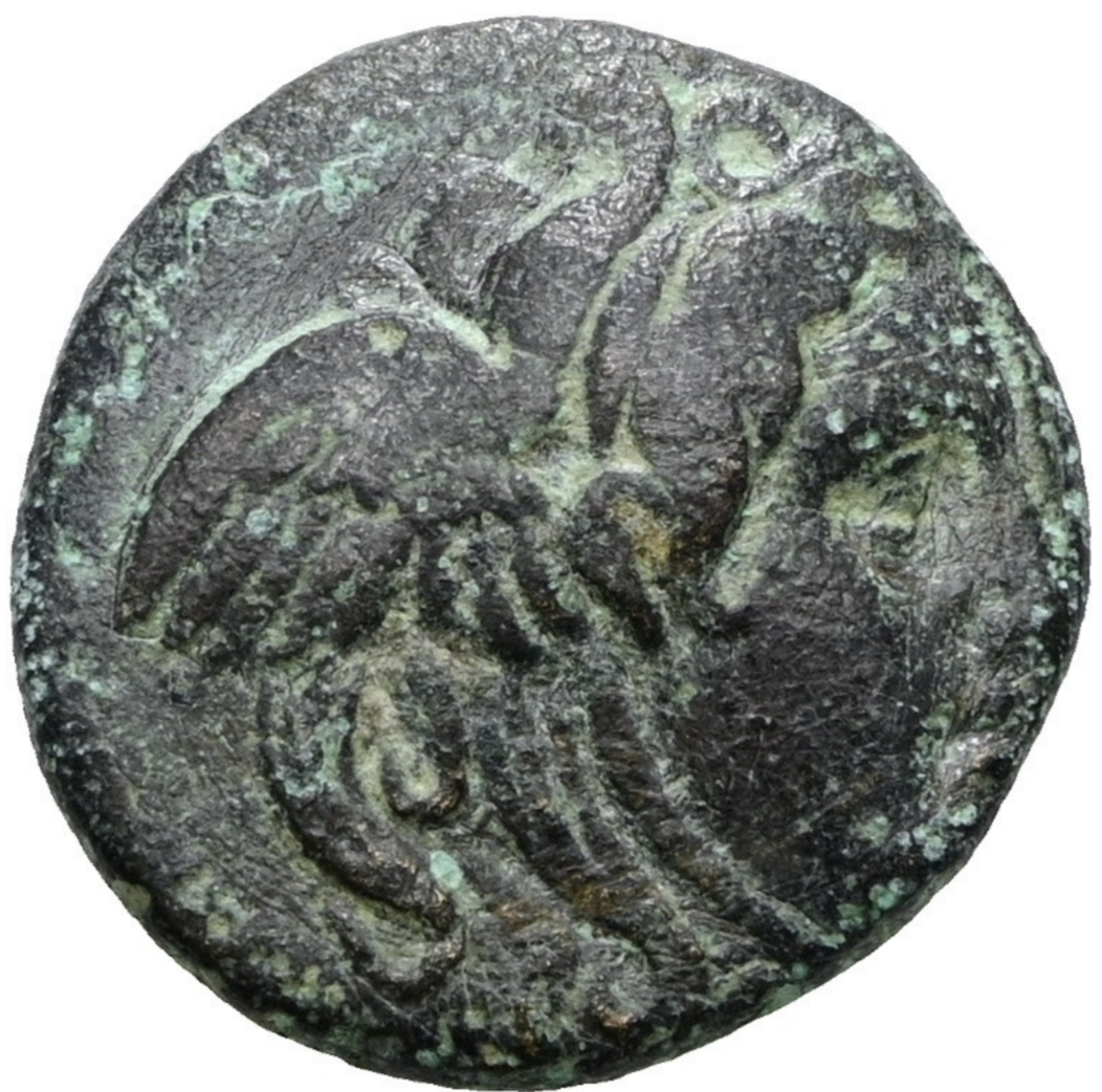SELEUCO I NICÁTOR (312‑281 a. C.). AE. Sardes.