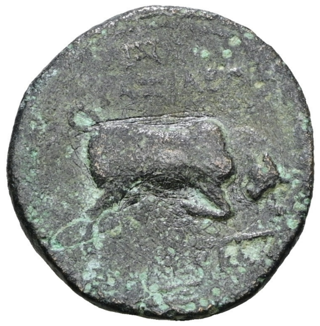 SELEUCO I NICÁTOR (312‑281 a. C.). AE. Sardes.