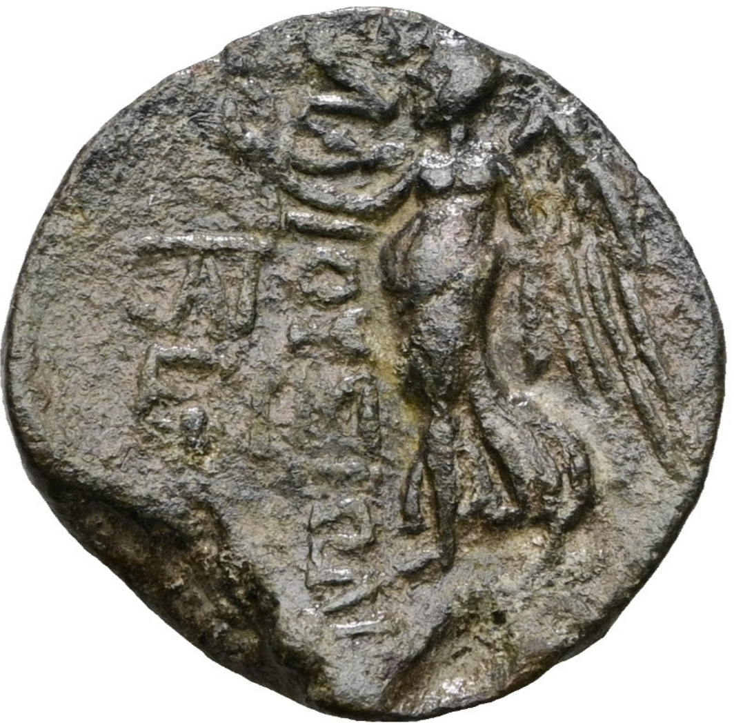 CILICIA. Elaioussa Sebaste. AE (siglo I a. C.).