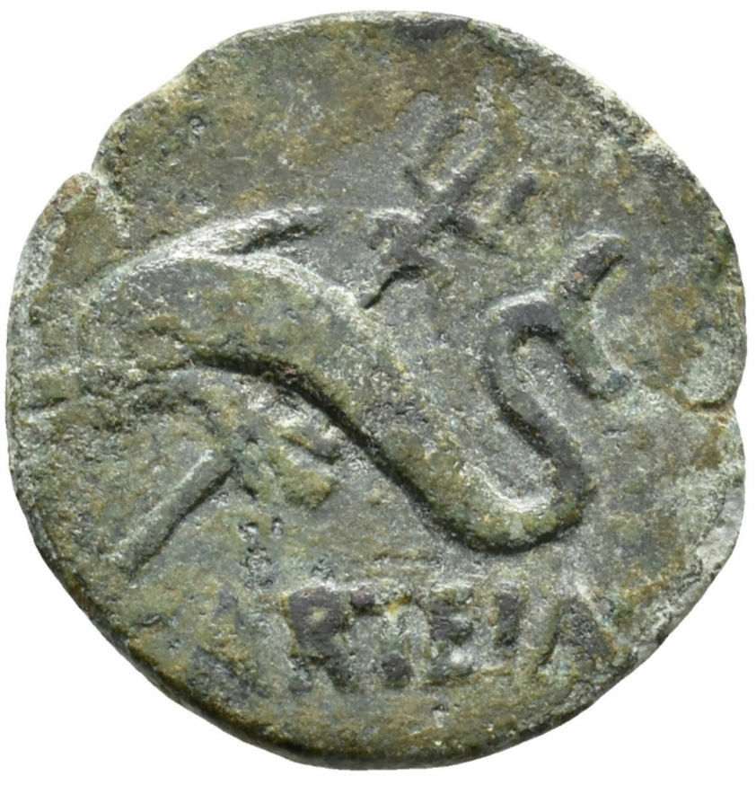 Moneda de Carteia (provincia Baetica). Época de Augusto (27 a.C.–14 d.C.). aprox. 20 a.C.