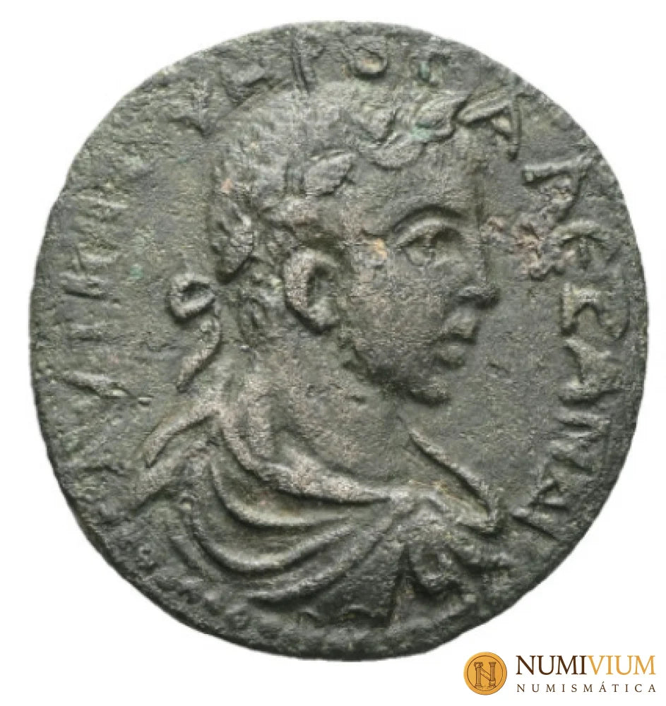 Alejandro Severo · 225–226 d.C. Provincial Romana · Galacia Amasea · Bronce. Gran tamaño