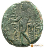 Antíoco III Megas (Cerca del 223-187 a.C.). Ceca de Sardes