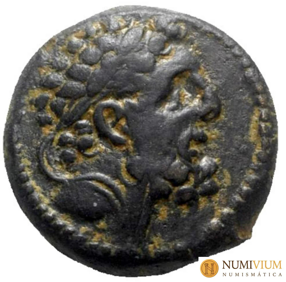 ANTIOCO IX CICICENO (114/3-95 a.C.). Antioquía sobre el Orontes año 203 (110/9 a.C.). REY 20