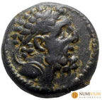 ANTIOCO IX CICICENO (114/3-95 a.C.). Antioquía sobre el Orontes año 203 (110/9 a.C.). REY 20