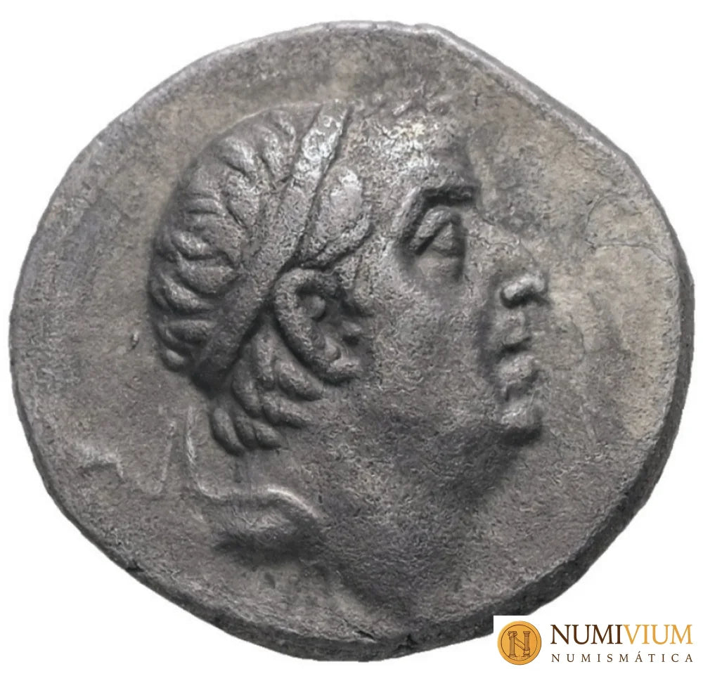 ARIOBARZANES I FILORROMANO (65/64 a.C.). Eusebeia. Año regio 31. BC+
