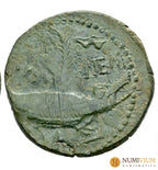 Augusto y Agripa. As. 10-14 d.C. Nemausus Galia. (Ric-I 159). Preciosa Pátina
