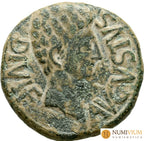 CELSE (Velilla del Ebro Zaragoza). As.Epoca de Augusto (27 a.C.-14 d.C.). MBC- As