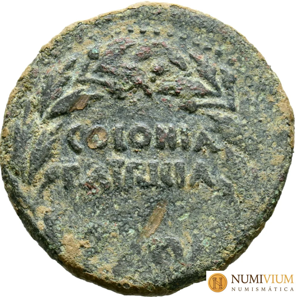 COLONIA PATRICIA (Córdoba). As. Época de Augusto
