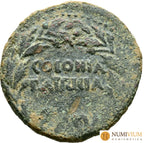 COLONIA PATRICIA (Córdoba). As. Época de Augusto