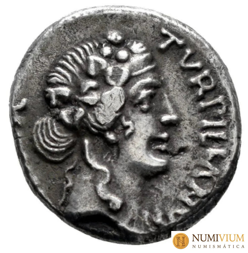 DENARIO de Augusto (14 aC-27 dC). RIC 287. Recuperación de las insignias romanas Denaio