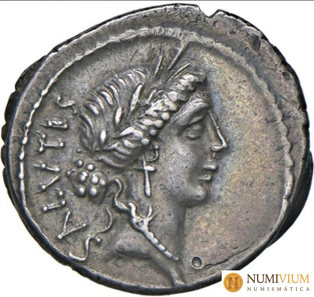 GENS ACILIA. Acilio Glabrio (49 a.C.) - Denario. EBC+