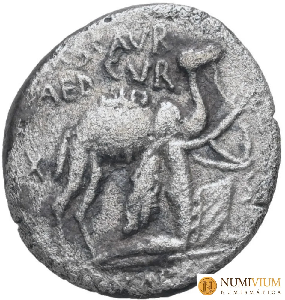 GENS AEMILIA. M. Aemilius Scaurus y Pub. Plautius Hypsaeus 58 a.C. Denario. Roma