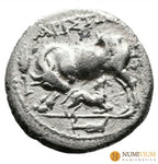 Iliria · Apolonia · Dracma · ca. 80/70–48 a.C. - Dracma