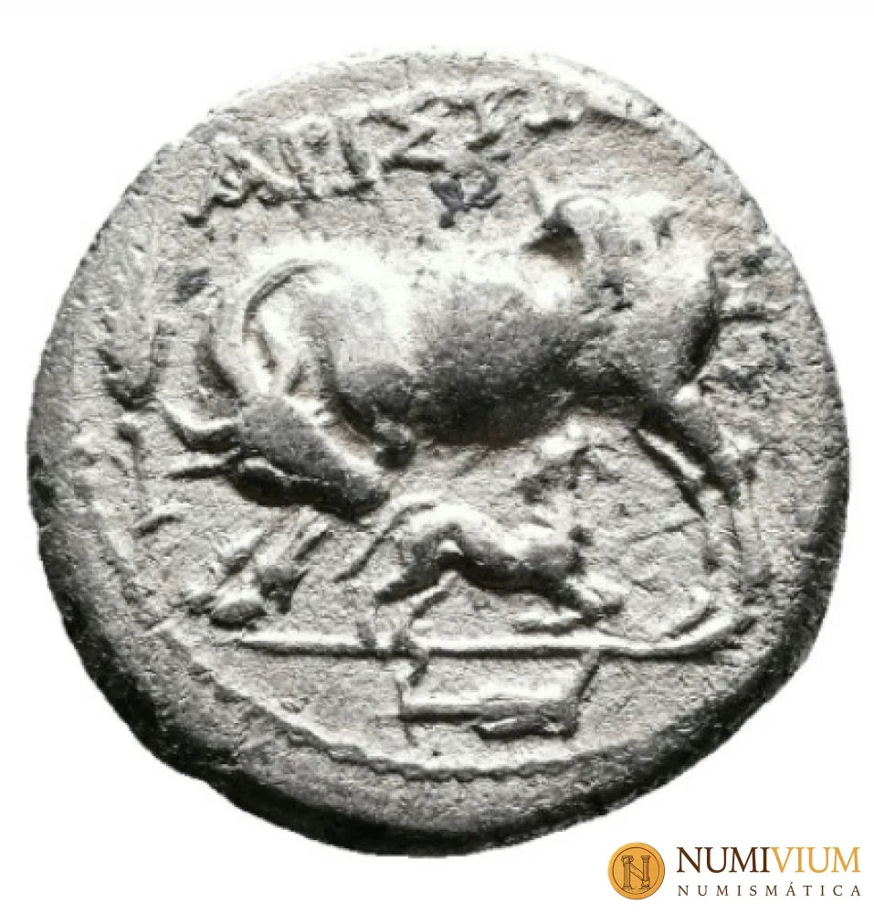 Iliria · Apolonia · Dracma · ca. 80/70–48 a.C. - Dracma