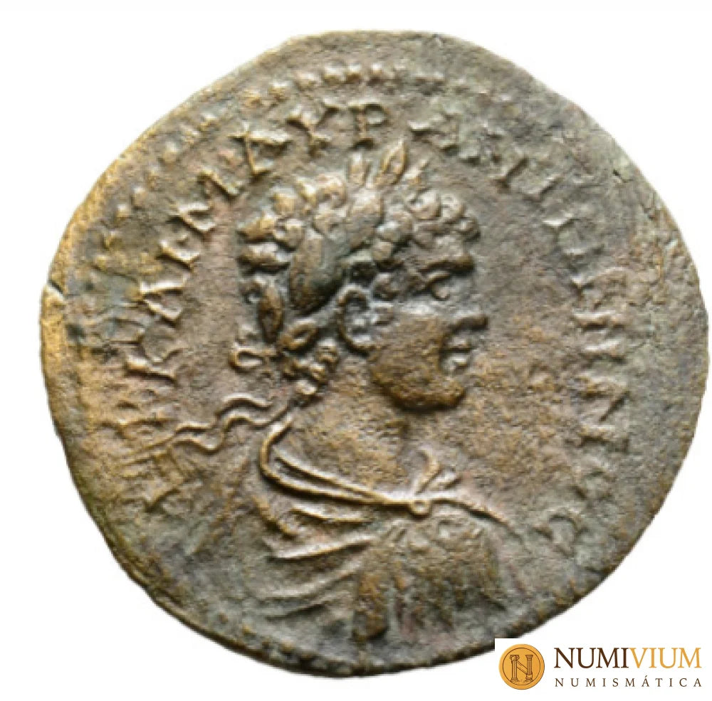 Imperio Romano · Caracalla. Bronce de Amasia. 205/206 d.C.