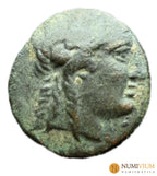Imperio Seléucida. Achaios. Usurpador. 220-214 a.C. Antioquía del Sardes. - Cobre