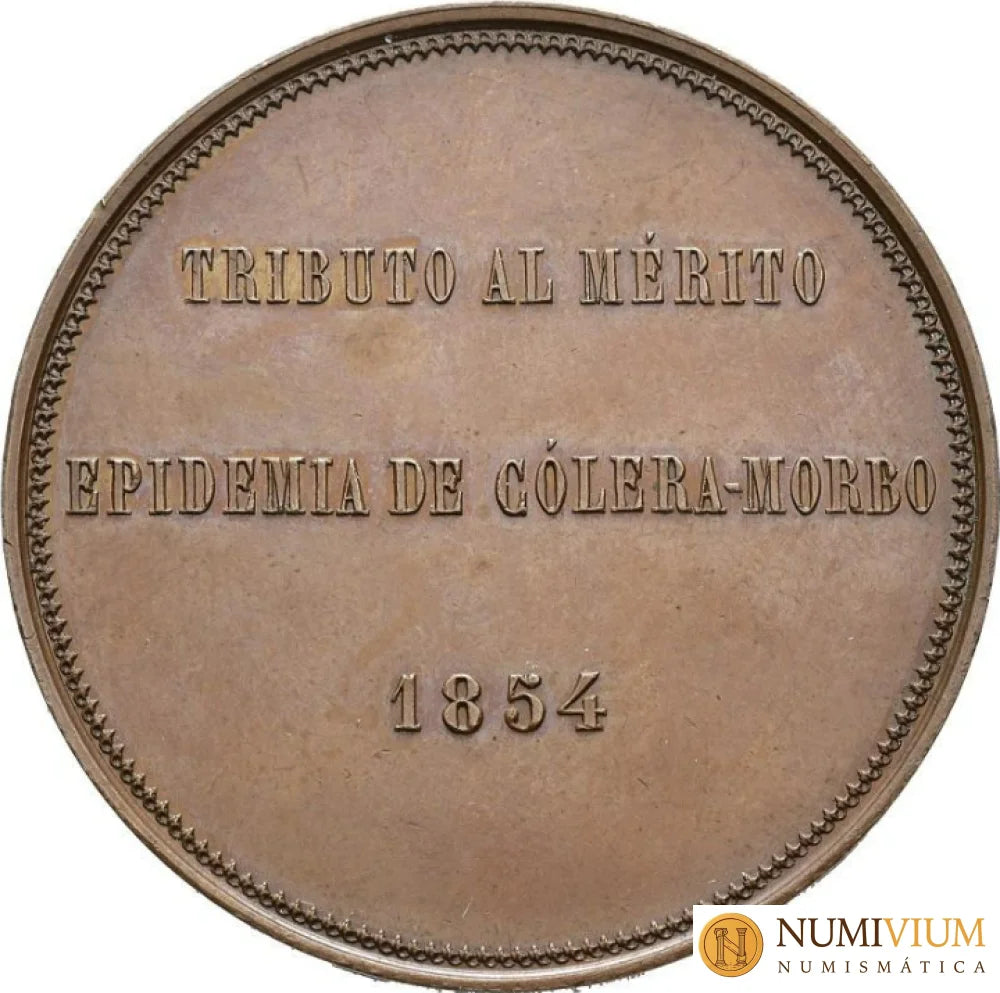 ISABEL II. Medalla. 1854. Ayuntamiento de Bilbao. Epidemia de cólera-morbo. EBC+ Medalla