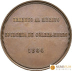ISABEL II. Medalla. 1854. Ayuntamiento de Bilbao. Epidemia de cólera-morbo. EBC+ Medalla