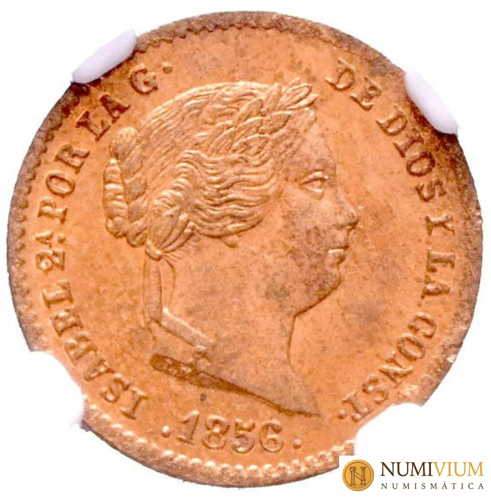 Isabel II. Segovia 1856. 5 Céntimos de real. SC. Escasa así. Isabel II