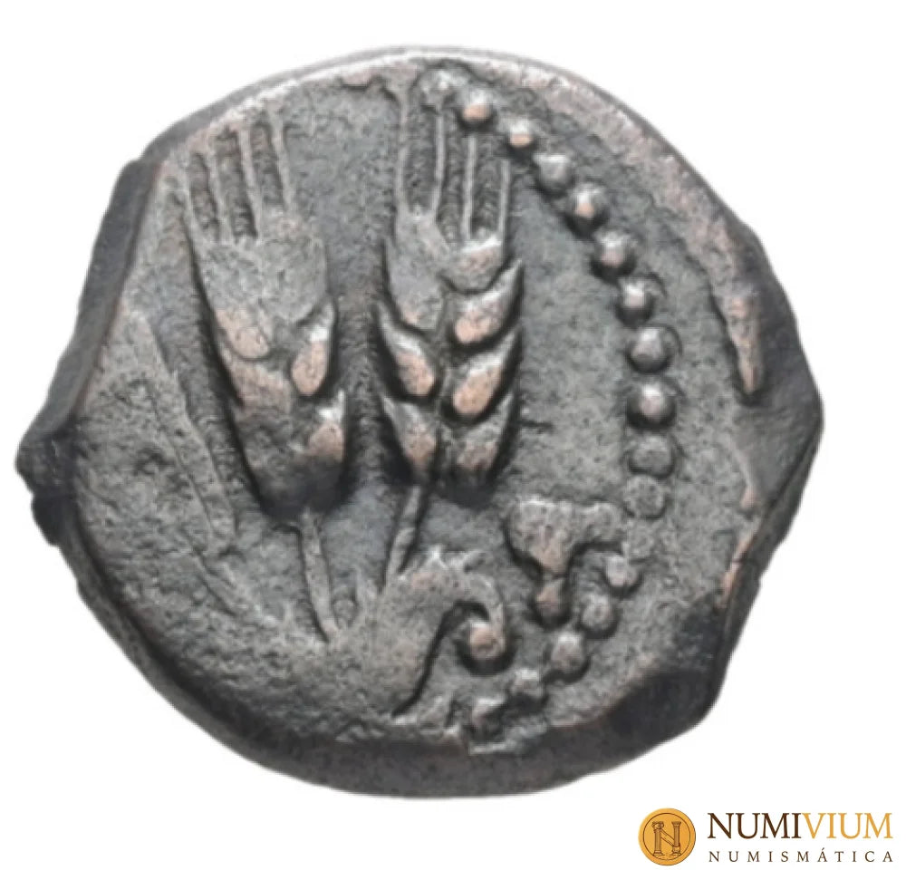 Judea. Jerusalén. Agripa I 37-43 d.C. AE Pruta.