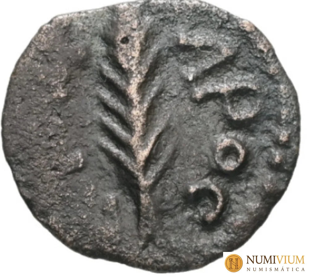 Judea. Procuradores. Porcio Festo 59-62 d.C. AE Prutah.