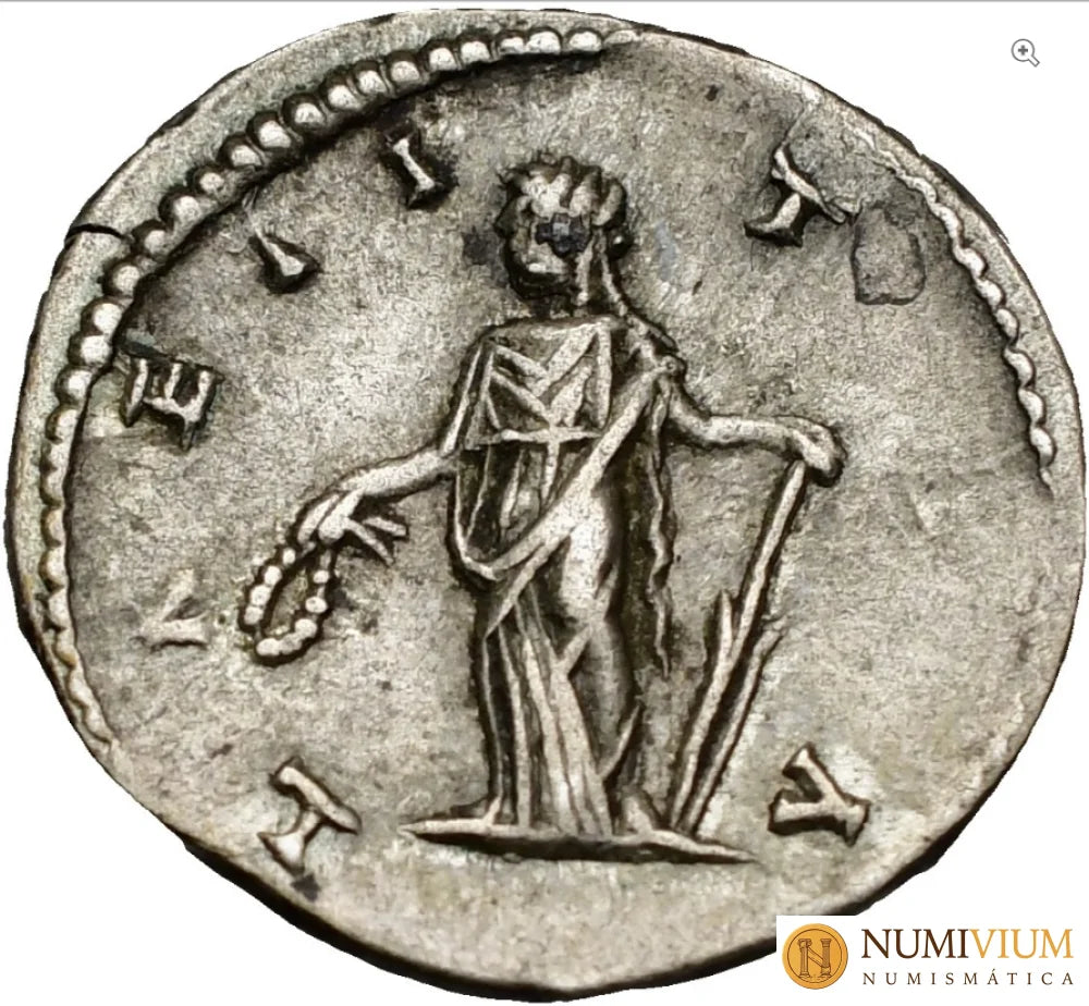 Julia Domna Roma Denario 198.. RIC IV-641.