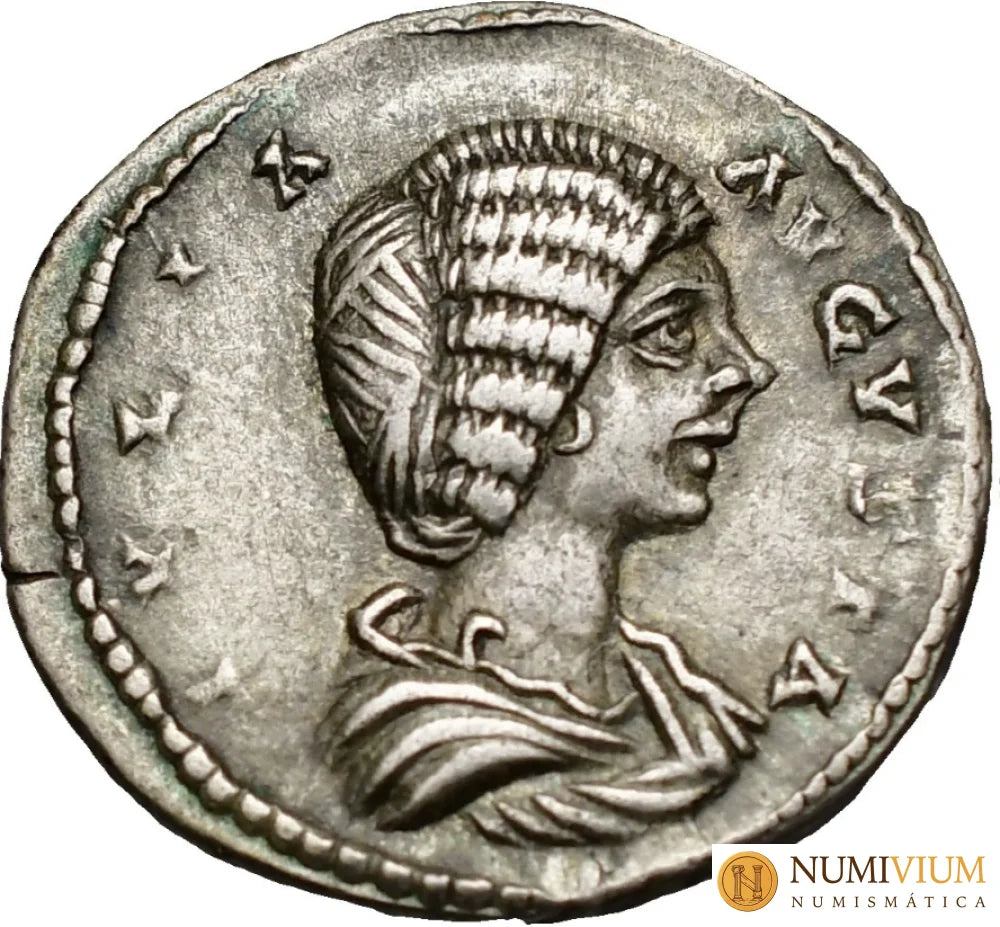 Julia Domna Roma Denario 198.. RIC IV-641.