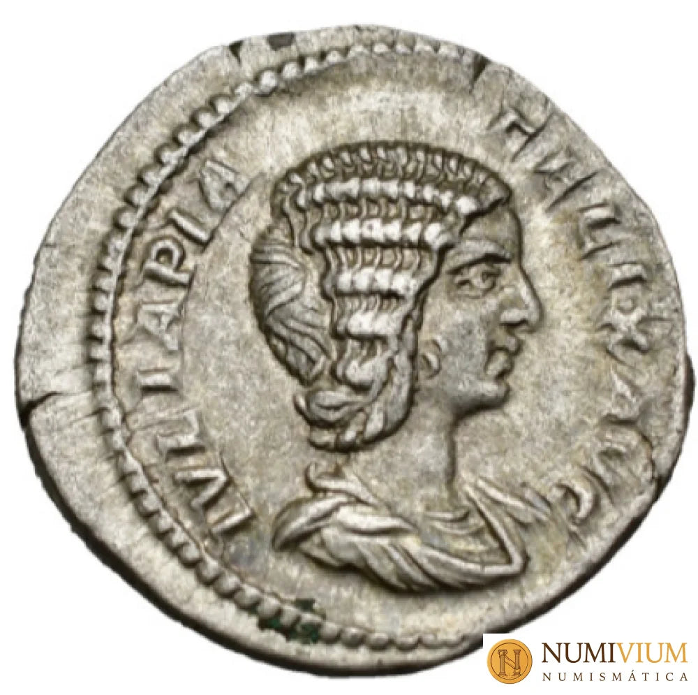 Julia Domna Roma Denario 211-215. RIC. 382