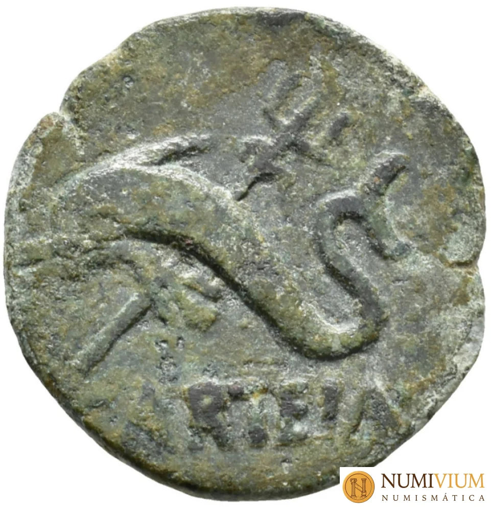 Moneda de Carteia (provincia Baetica). Época de Augusto (27 a.C.–14 d.C.). aprox. 20 a.C. Cobre