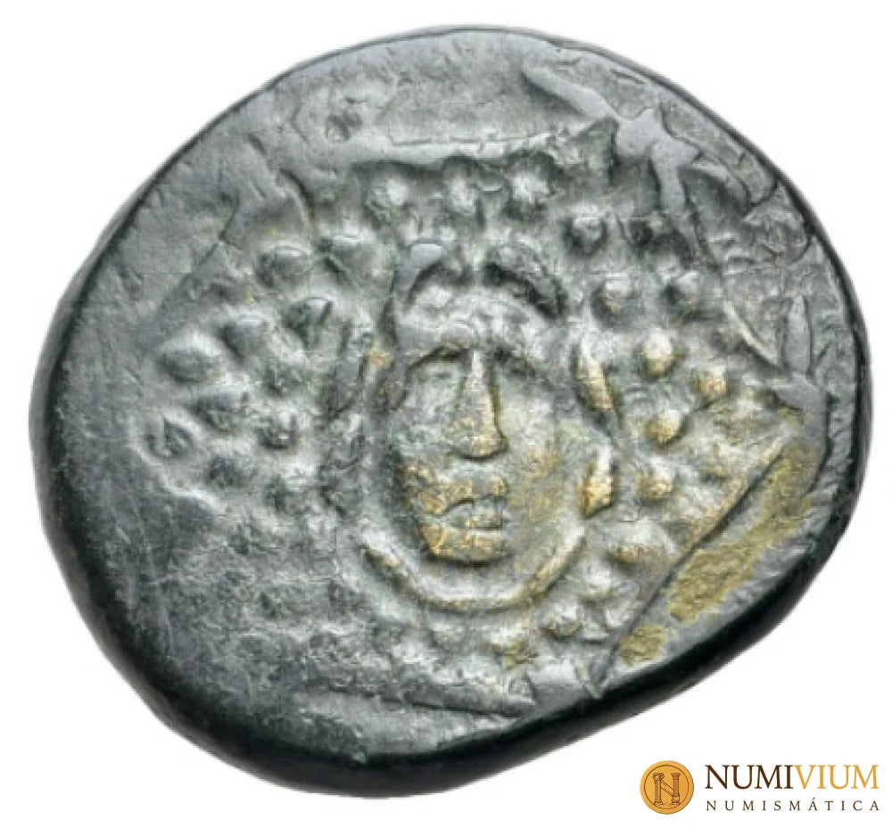 Paflagonia Amastris c. 85–65 a.C. Bronce