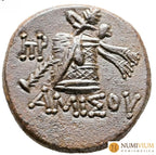 Ponto. Amisos. Época de Mitrídates VI Eupátor 120-63 a.C. MBC+. Retrato de Perseo. Buen ejemplar.