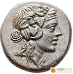 Ponto. Amisos. Época de Mitrídates VI Eupátor 120-63 a.C. MBC+. Retrato de Perseo. Buen ejemplar.