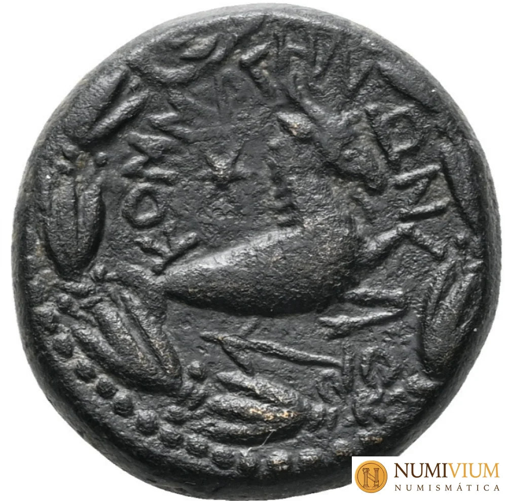REINO DE COMAGENE. Epífanes y Calínico. Æ (7,59 g 19 mm). Licaonia. Rara