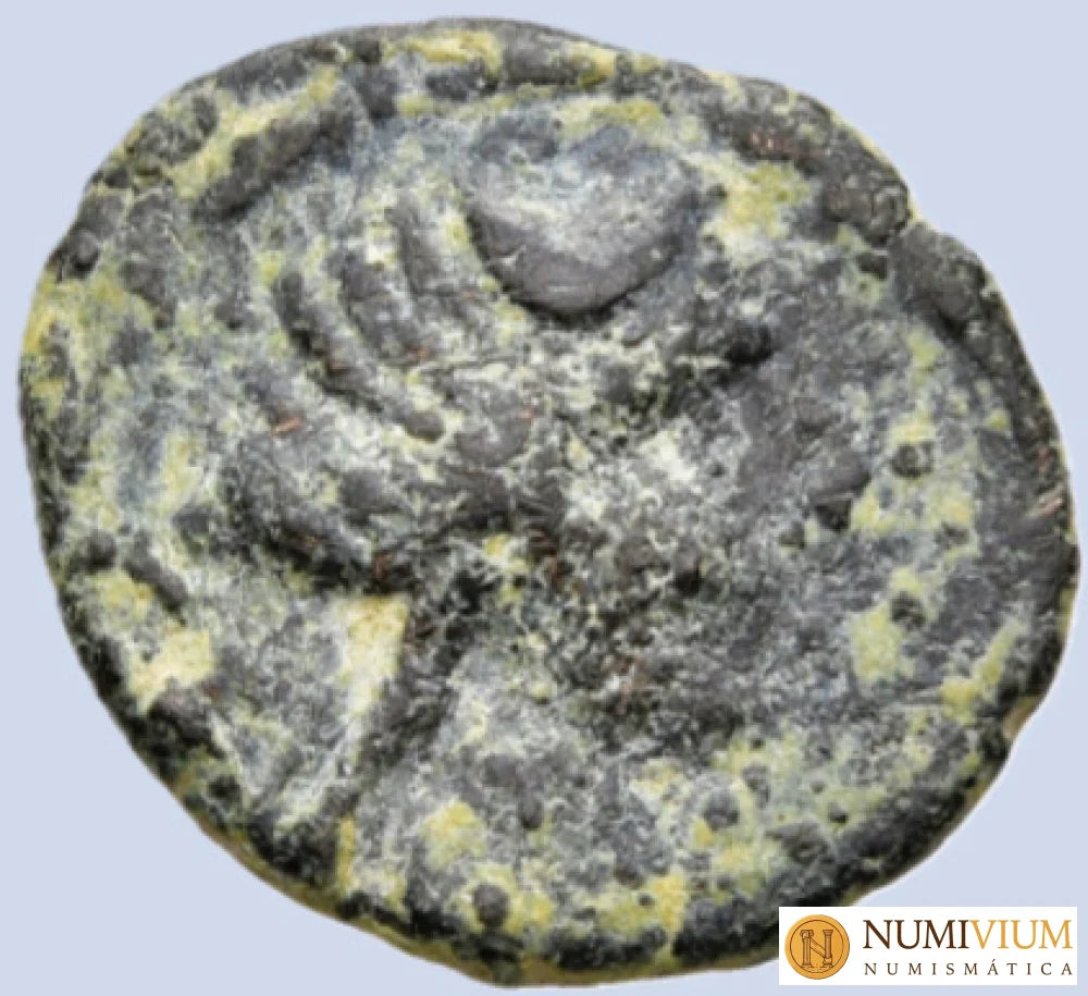 Reyes de Capadocia. Cesarea como Eusebeia (ca. 96-63 a.C.). Bronce (AE).