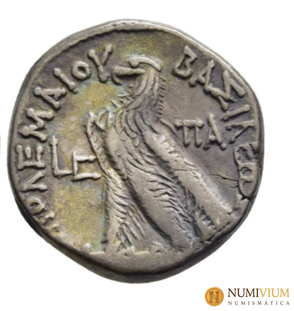 REYES PTOLEMAICOS DE EGIPTO. Cleopatra III y Ptolomeo IX Soter II (116-107 a.C.). Tetradracma. Alejandría. Año de