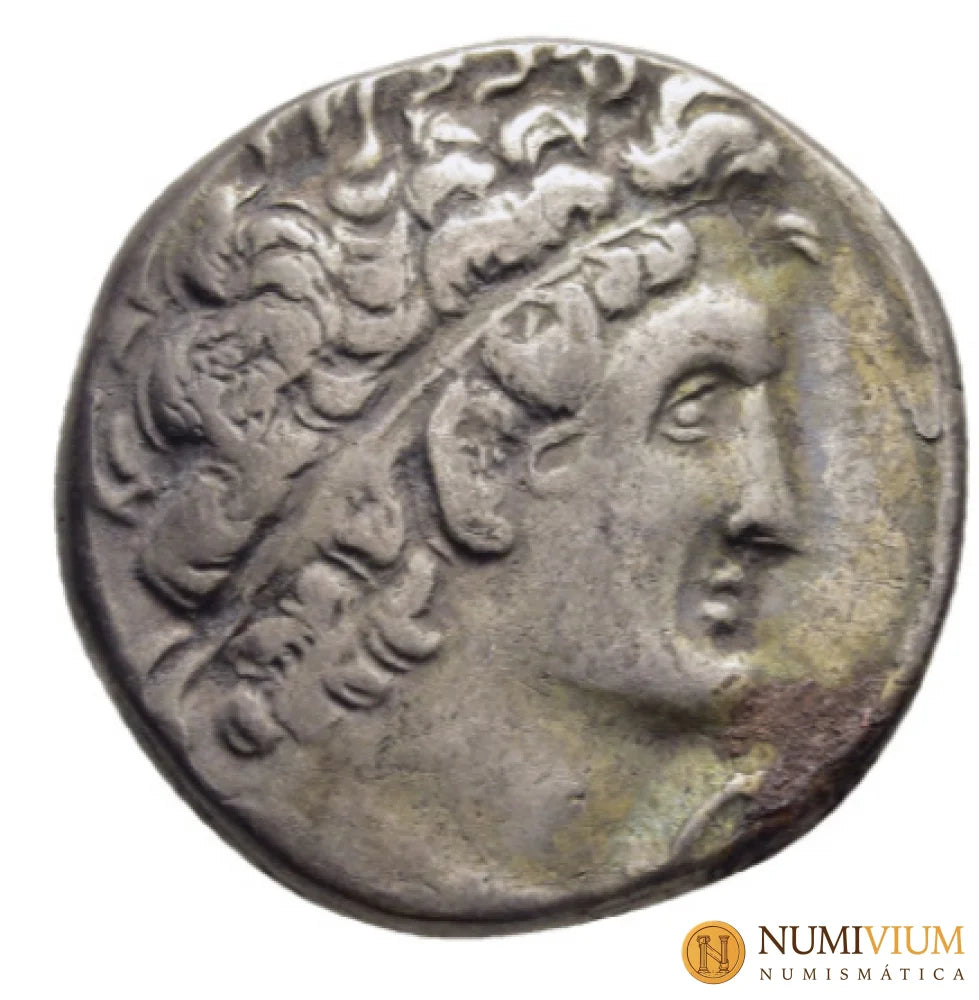 REYES PTOLEMAICOS DE EGIPTO. Cleopatra III y Ptolomeo IX Soter II (116-107 a.C.). Tetradracma. Alejandría. Año de