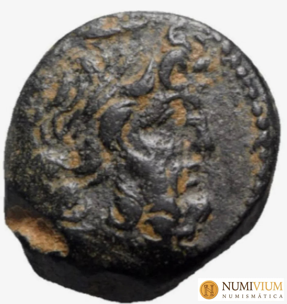 Reyes Seléucidas Demetrio II (Segundo reinado 129-125 a.C.).
