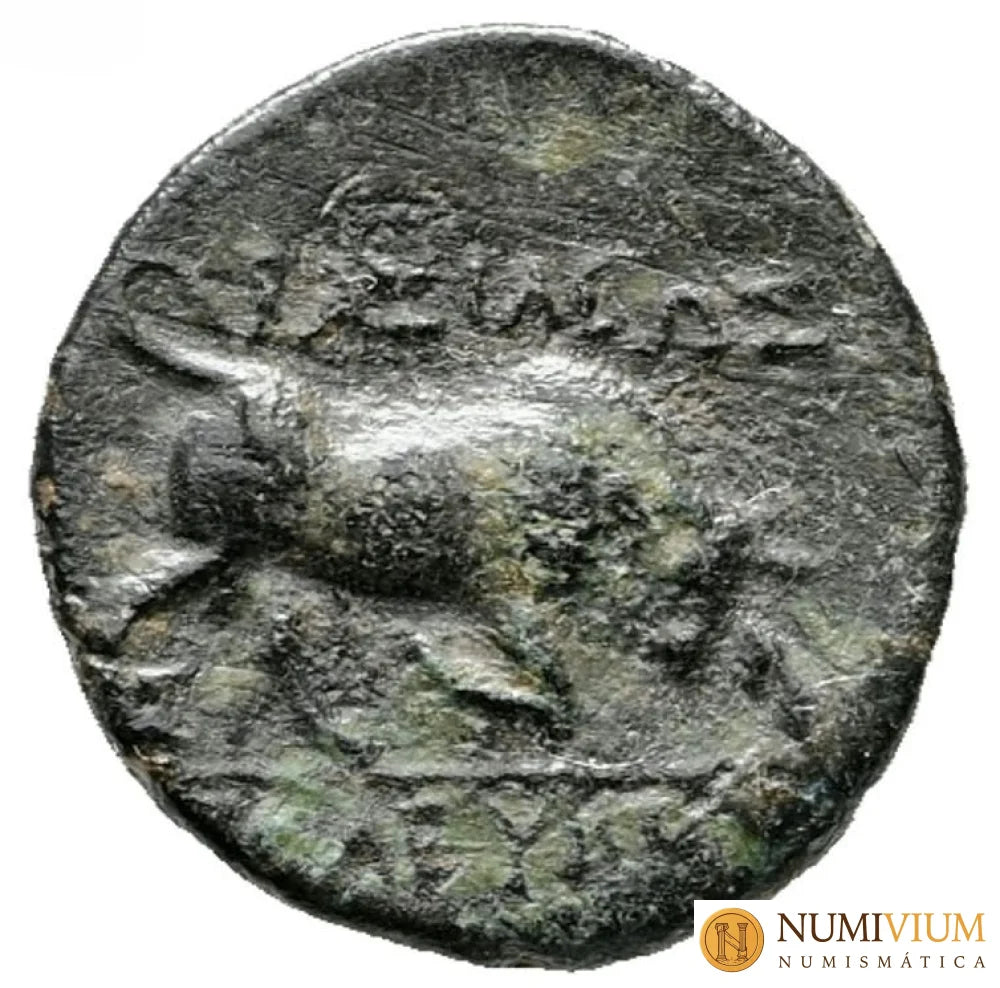 SELEUCO I NIKÁTOR (312-281 a.C.). Cobre de Sardes. REY 1. Cobre